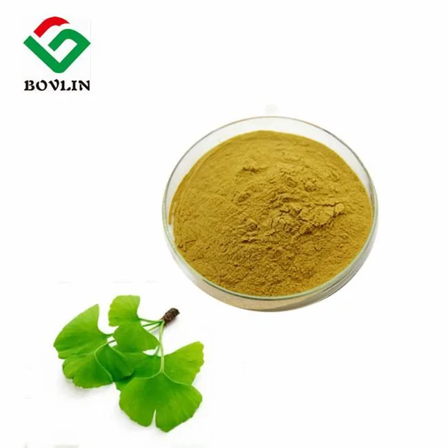 Ginkgo Biloba Extract